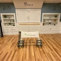 Tracey Staehle Fitness LLC ico