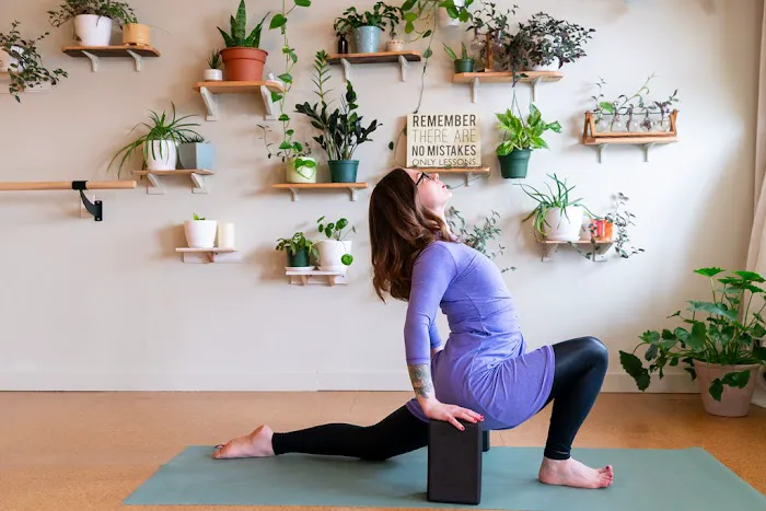 Phoenix Yoga & Wellness LLC Picture 3