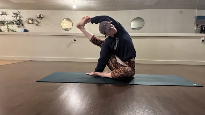 Phoenix Yoga & Wellness LLC Picture 2