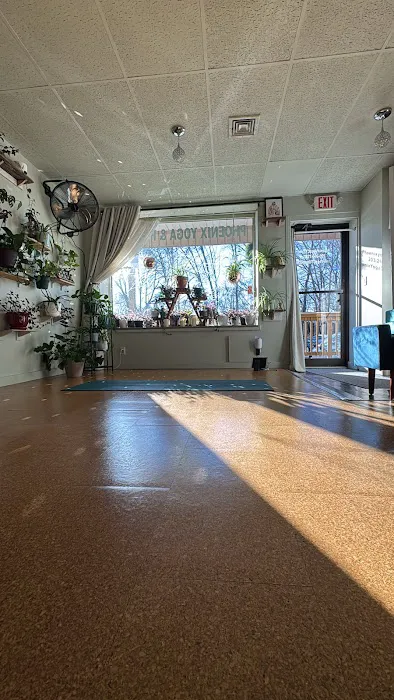 Phoenix Yoga & Wellness LLC Picture 8