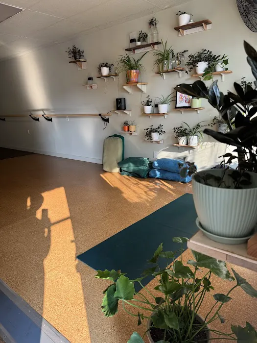 Phoenix Yoga & Wellness LLC Picture 10