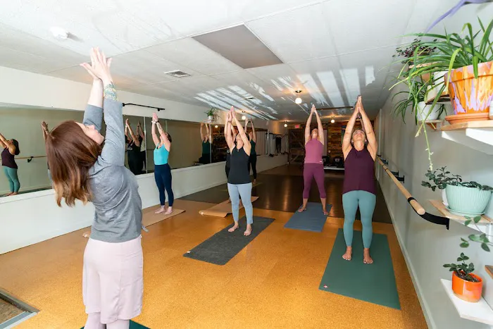 Phoenix Yoga & Wellness LLC Picture 1