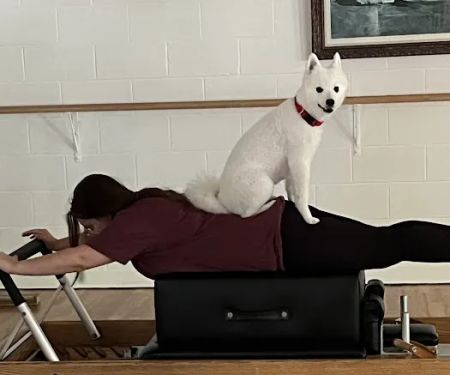 PilatesYou