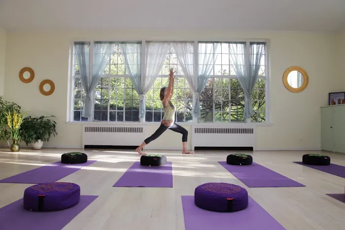 The Yoga Garden Picture 5