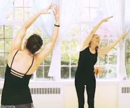 The Yoga Garden