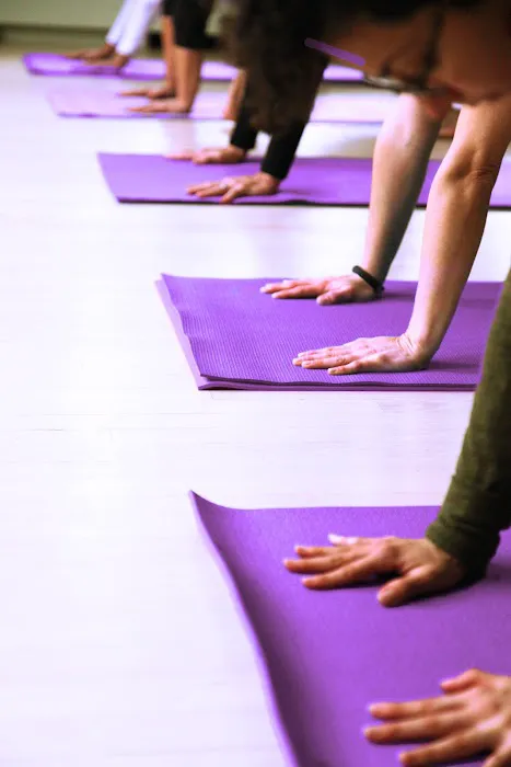 The Yoga Garden Picture 3