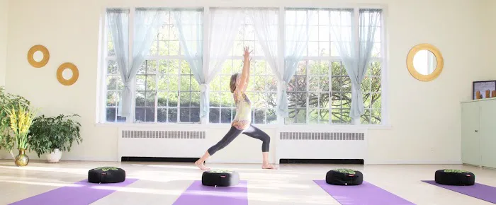 The Yoga Garden Picture 4