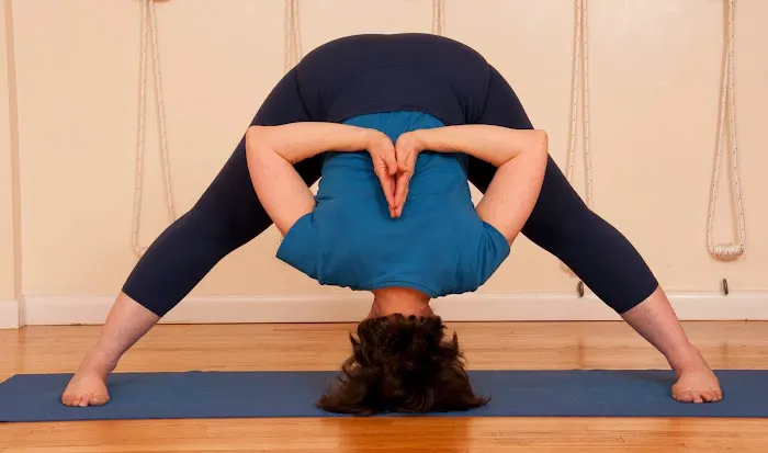Iyengar Yoga Scarsdale Picture 1