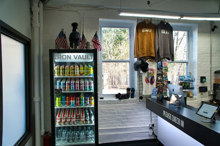 IRON VAULT Picture 2