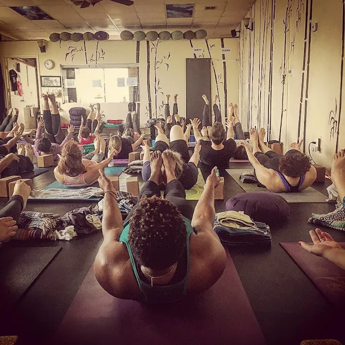The Stretch Yoga Picture 1