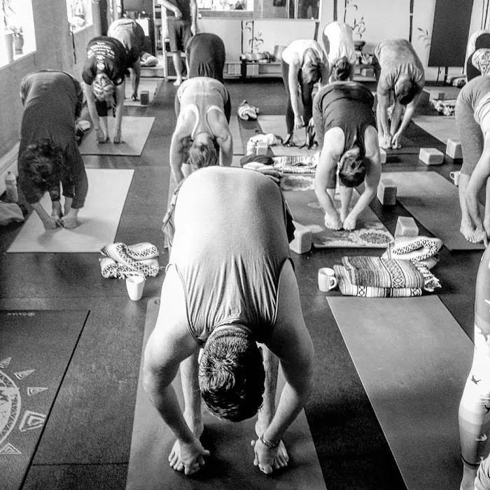 The Stretch Yoga Picture 10