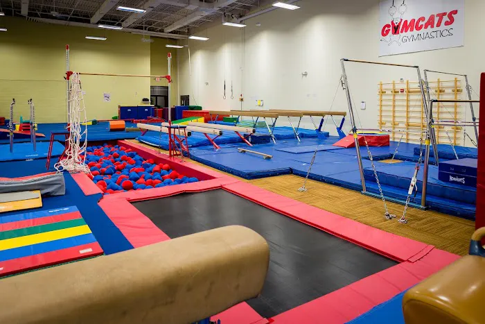 GymCats Gymnastics Center Picture 1
