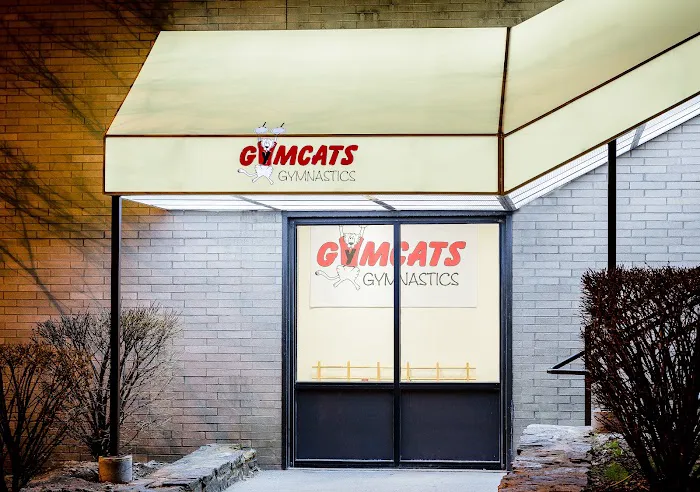 GymCats Gymnastics Center Picture 9