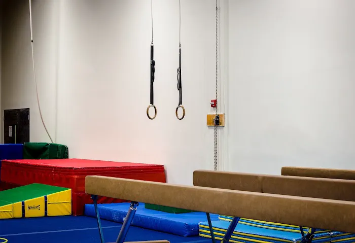 GymCats Gymnastics Center Picture 8