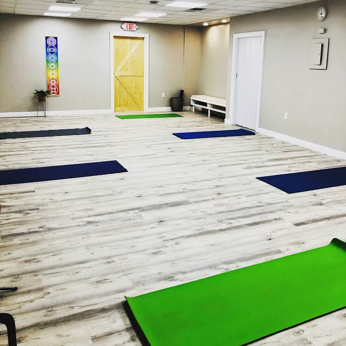 Vitality Yoga & Wellness Picture 1