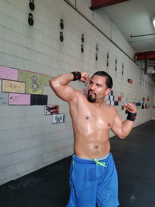 CrossFit ECF Picture 7