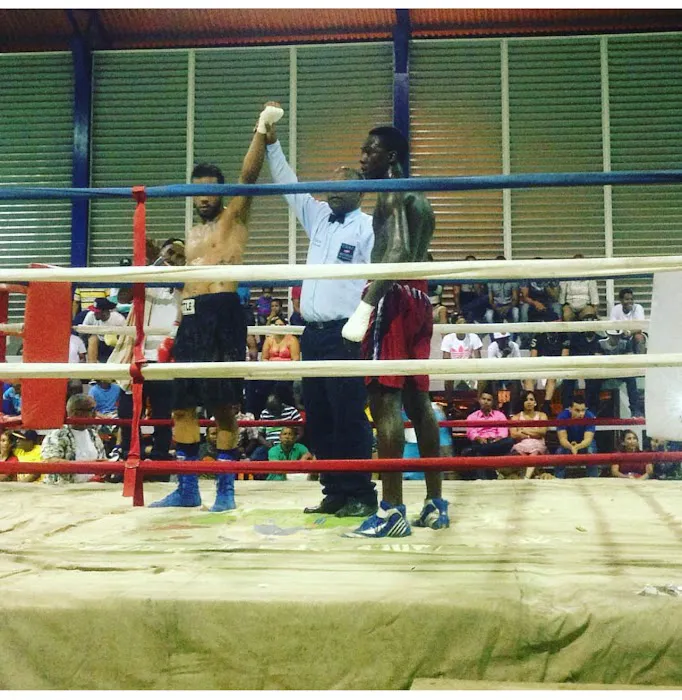 Boxingbydiego Picture 7
