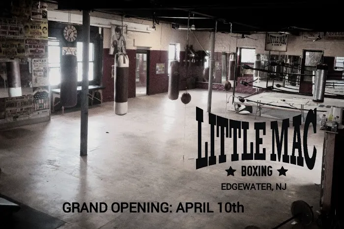 Little Mac Boxing Gym Picture 6