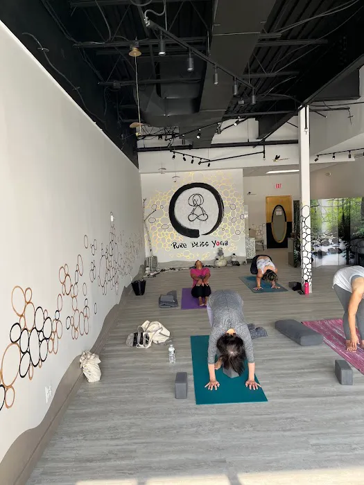 Pure Bliss Yoga Picture 2