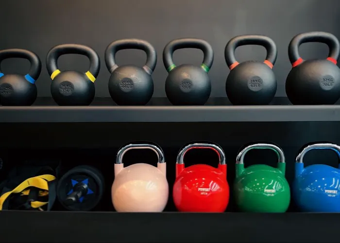 Jungle Fitness | Personal Training 뉴저지 피트니스 뉴저지 헬스장 | 新泽西州健身房 Picture 4