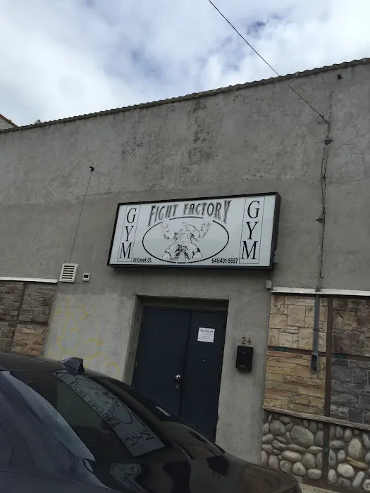 Fight Factory Picture 5