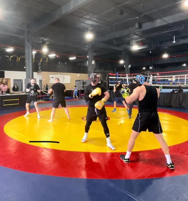 Team Tsigaras Boxing + MMA Picture 2
