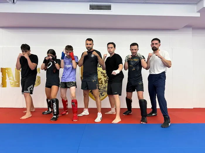 Team Tsigaras Boxing + MMA Picture 6