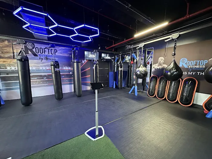 Rooftop Fitness Corp Picture 8