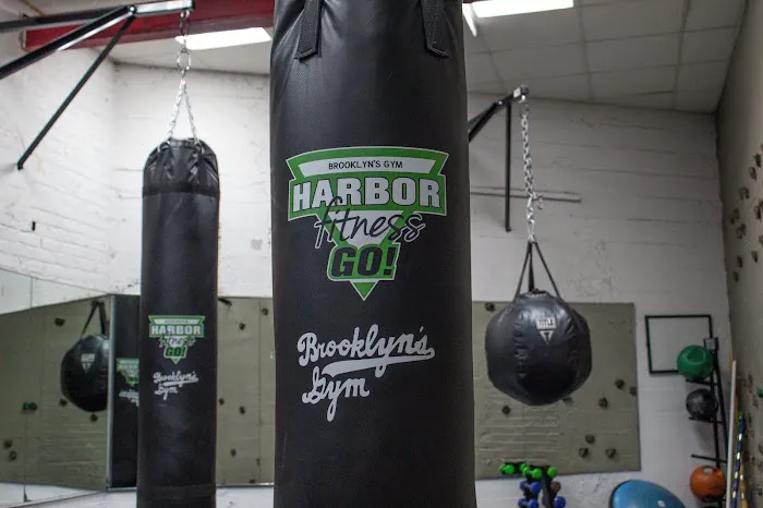 Harbor Fitness Go Picture 6