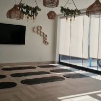 Fringe Pilates ico