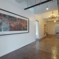 Yoga Tribe Brooklyn ico