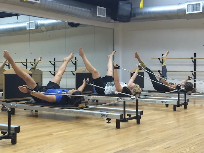Elite Fitness Studio Picture 4
