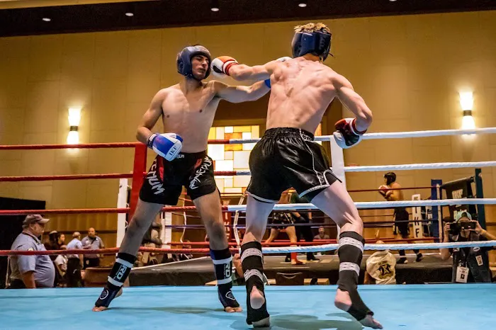 Bars Boxing Picture 10