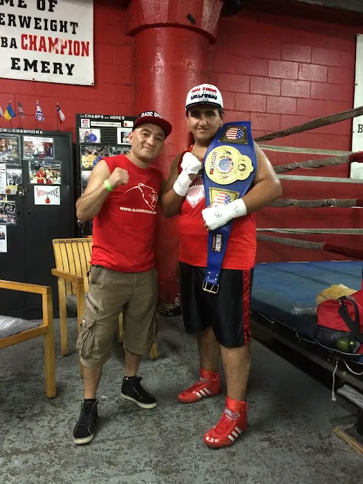 Bars Boxing Picture 7