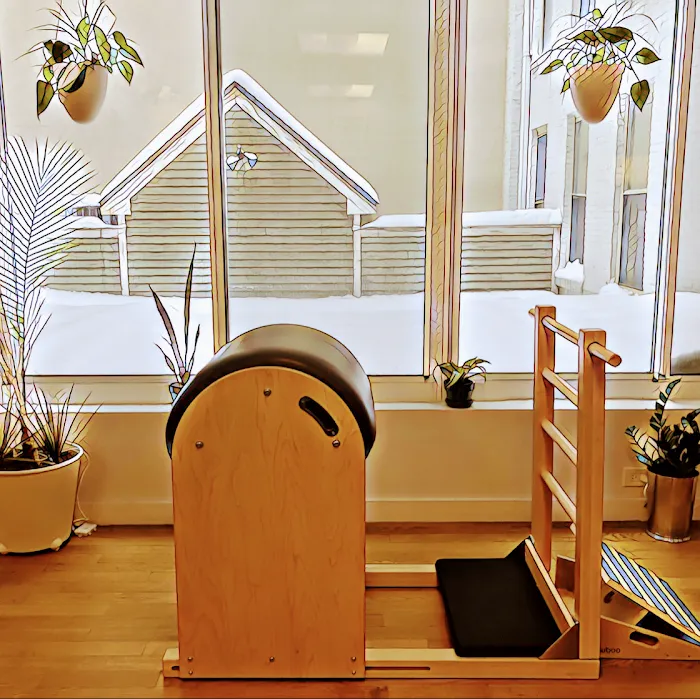 The Pilates Therapist Picture 6