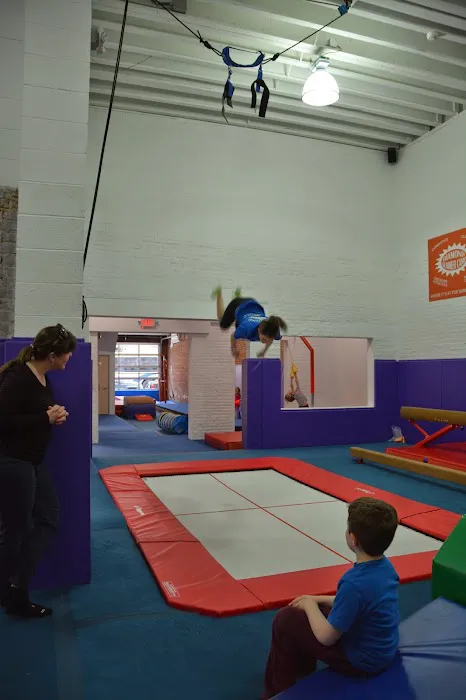Diamond Gymnastics Picture 8