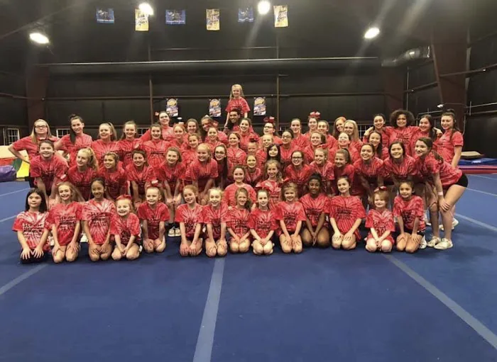 FIERCE ALL STARS Picture 3