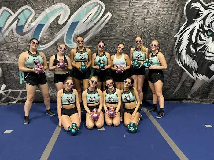 FIERCE ALL STARS Picture 9
