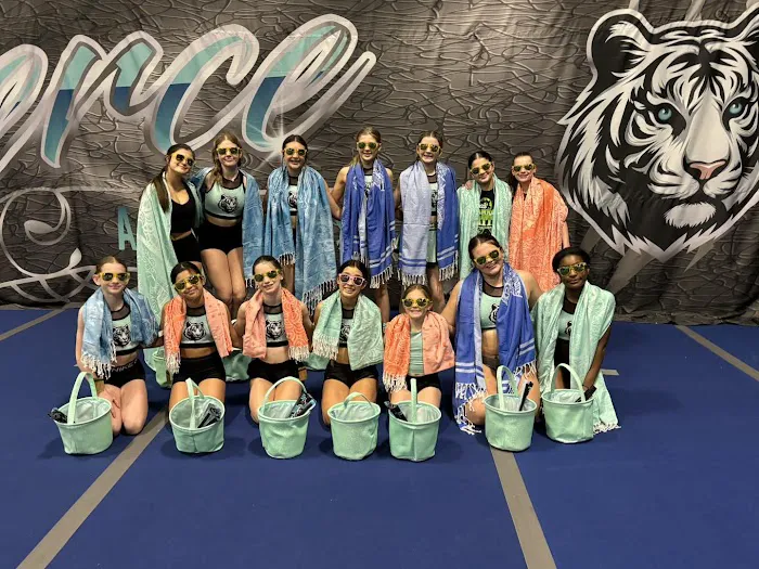 FIERCE ALL STARS Picture 8
