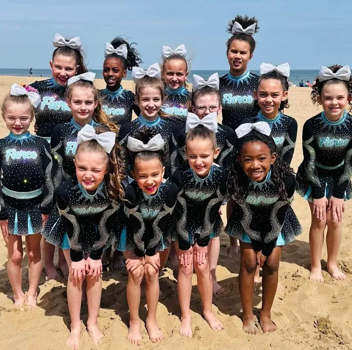 FIERCE ALL STARS Picture 10