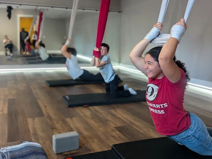 Phoenix Fitness and Yoga Picture 3