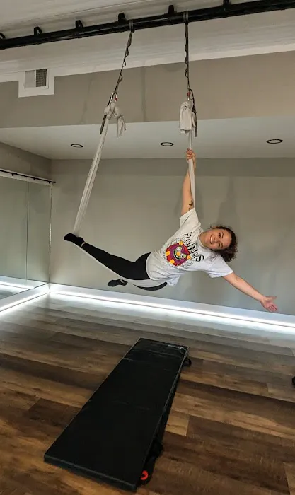 Phoenix Fitness and Yoga Picture 4