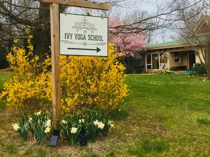 The Ivy Yoga School Picture 5