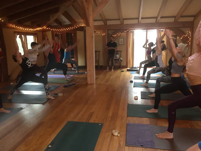 The Ivy Yoga School Picture 6