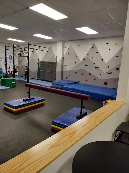 River City Inclusive Gym Picture 7