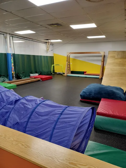 River City Inclusive Gym Picture 4