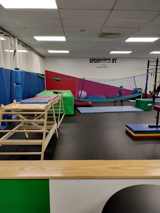 River City Inclusive Gym Picture 2