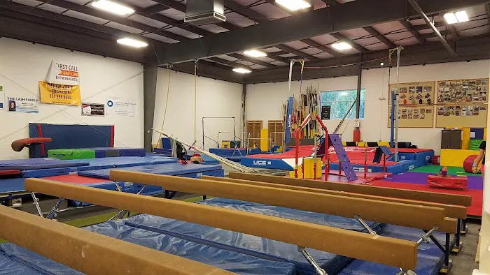 Aerial East Gymnastics Picture 6