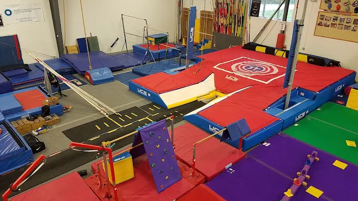 Aerial East Gymnastics Picture 5