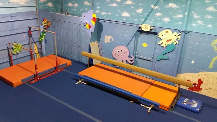 Perfect 10 Gymnastics Picture 1